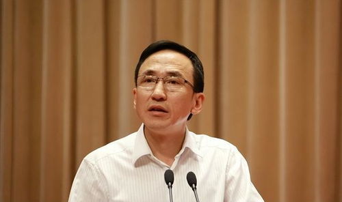 朱均平副局长在湘教育改革中扮演何种角色？