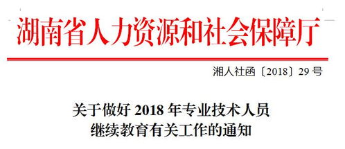 湖南人才继续教育网官网，如何提升我的专业技能？