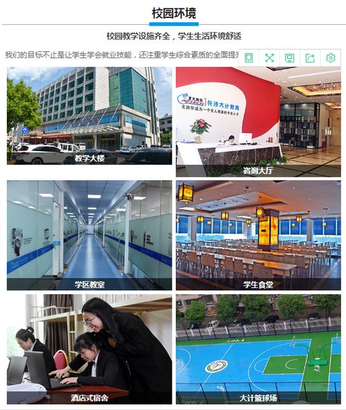 湖南北大青鸟咨询，大计教育NO.1，为何如此出色？