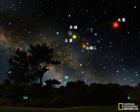 芒果TV湖南教育台，夜空中最亮的星，谁在闪耀？