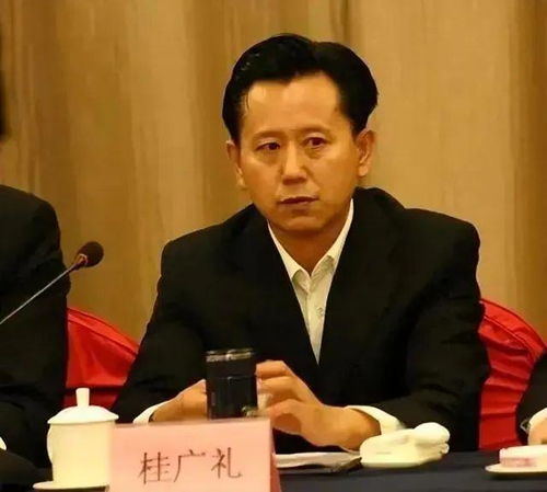 湖南岳阳市教育局长现职是谁？