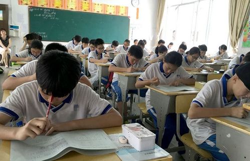 湖南中小学生素质教育，如何更上一层楼？