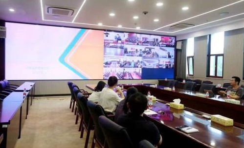 湖南教育发展视频会议，哪些心得值得深思？