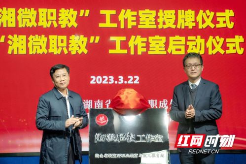 湖南省教育厅官网王仁祥，揭秘教育改革新举措