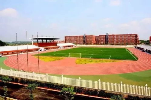 湖南体育职业学院士官教育学院，有何独特之处？
