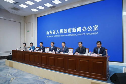 湖南邵阳新宁县教育局官网，功能介绍与使用疑问解答