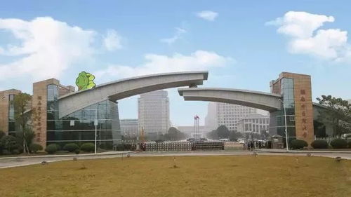 教育部湖南理工科技学院发展前景如何？