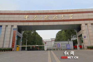 湖南师大教育学院官网信息准确吗？