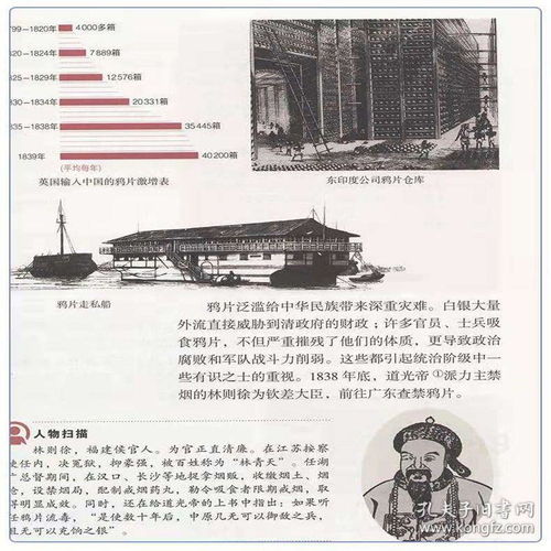 湖南教育出版社初中历史书有何独特之处？