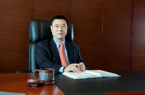 湖南省教育厅维稳处张轶，其职责与维稳工作之谜？