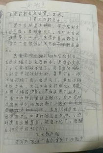 湖南教育，四年级学生开心作文如何撰写？