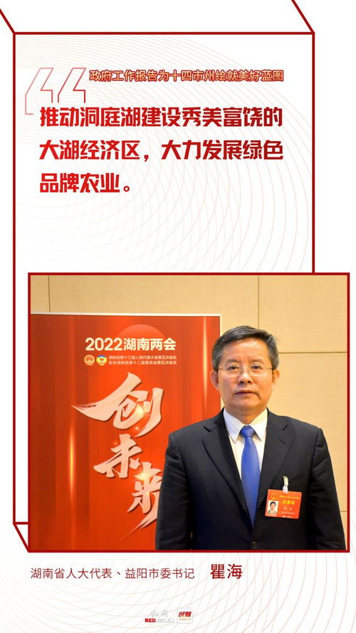 张博伟副厅长，湖南省教育厅未来规划何在？