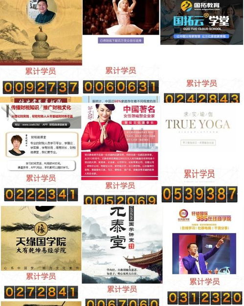 湖南美景教育究竟有何魅力？