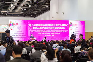 湖南第十五届教育博览会，哪些亮点不容错过？