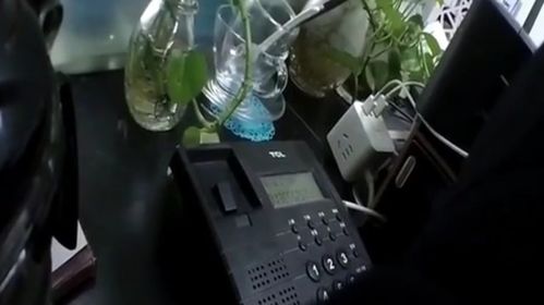 湖南省教育厅监管局电话如何查询？