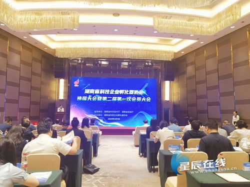 湖南省名图教育科技有限公司，企业定位与未来展望？
