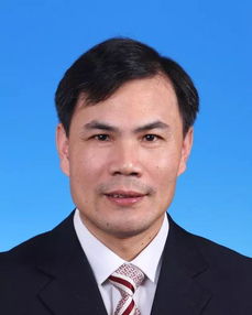 湖南宁远教育局陈彦棋简历之谜？