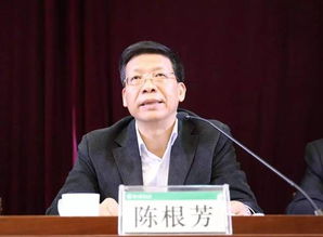 湖南省教育厅陈根芳，他的教育生涯如何？