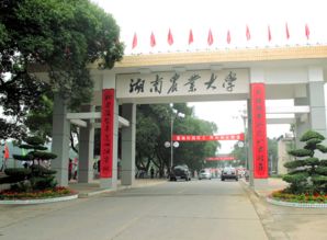湖南农业大学劳动教育课，效果如何？