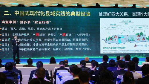 湖南人才社会教育网，如何助力人才培养？