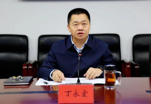 湖南省教育厅丁副处长职责何在？