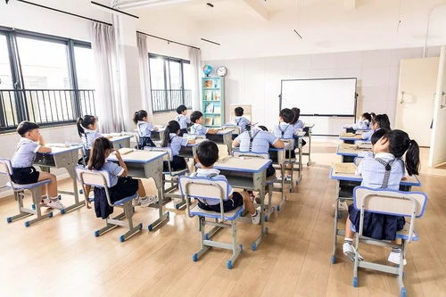 湖南特长生义务教育学校如何选拔？