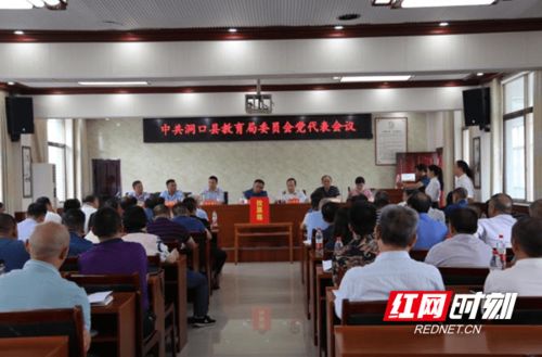 湖南省邵阳洞口县教育局改革成效如何？