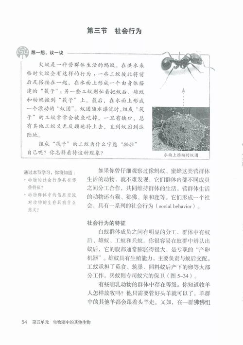 八年级上册生物书湖南教育出版社，有何独特之处？