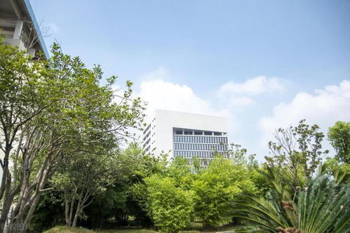 湖南理工学院改名教育部批准了吗？