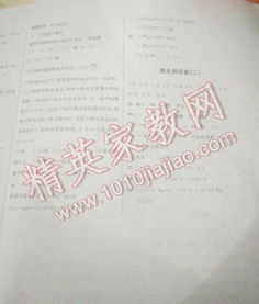湖南教育出版社八年级上册教材，内容解读有何新意？
