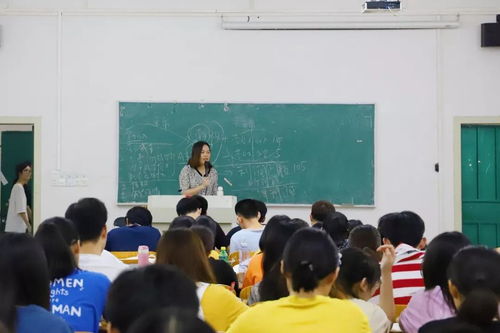 大三学前教育，湖南涉外经济学院学生面临哪些挑战？