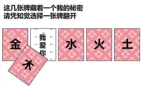 一字一世界，湖南教育出版社如何诠释
