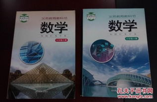 湖南教育出版社八下地理课本，有何独特之处？