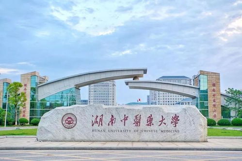 湖南师范大学本科教育学院导师有哪些疑问？