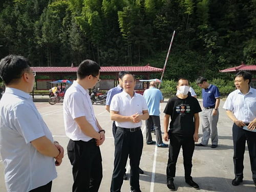 湖南省安化县东坪镇教育局电话查询？