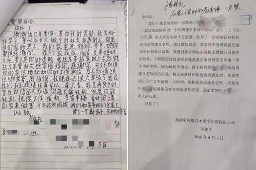 湖南教育工作者的一封信，为何引起热议？