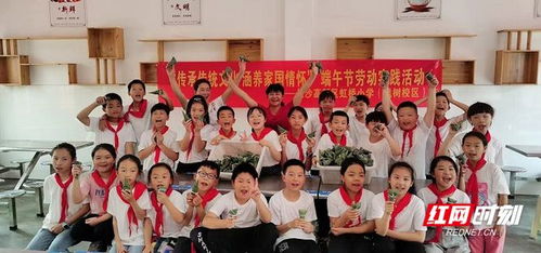 湖南小学劳动教育课本，有何独特之处？