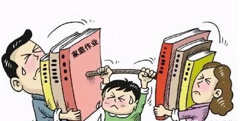常德市初中教育新政策，家长如何应对？