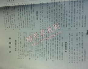 地理8下册湖南教版，哪些内容最关键？