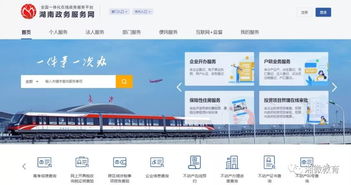 湖南省教育厅政务服务中心官网，服务如何？