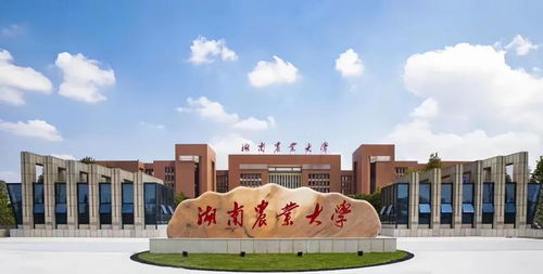 湖南农业大学年度教育经费几何？