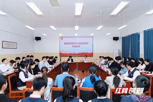 湖南第一师范学院教育网，功能与优势探讨？
