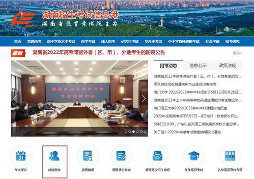 湖南省教育官网登录入口如何查询？