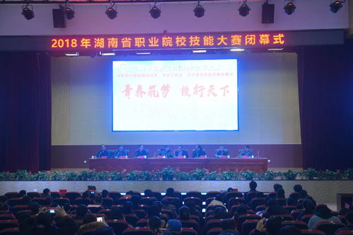 湖南省教育厅教师处处长现职是谁？