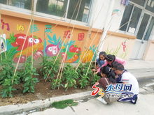 湖南小学三年级劳动教育如何开展？