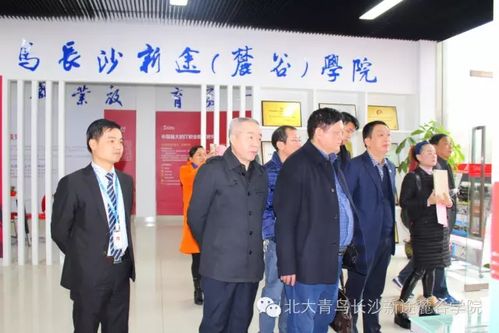 湖南省桃江县教育局具体位置是？