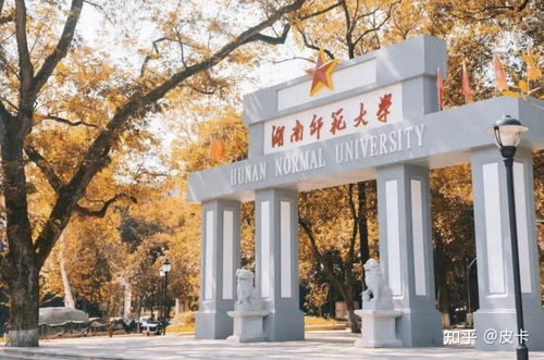 湖南湖师大教育科学学院，培养未来教育精英的摇篮？