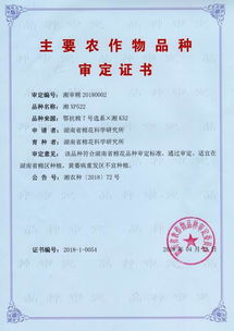 湖南省资料员继续教育网如何提升培训效果？