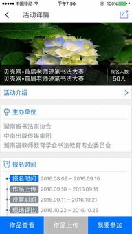 富二代马甲包APP在湖南教育网的应用之谜？