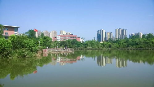 湖南大学一年制成人教育，真的高效吗？